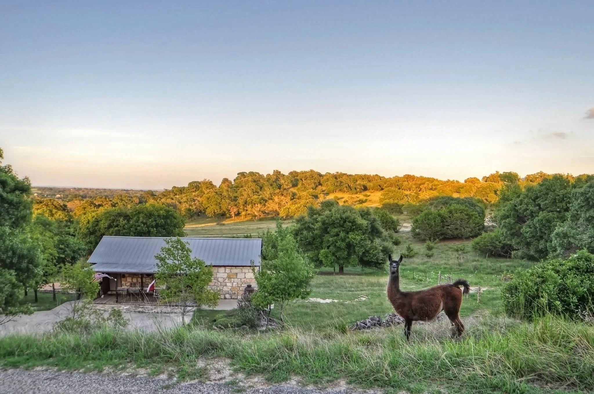 A Barn at the Quarry | Rustic Country Petting Zoo B&B | Fredericksburg,  Texas